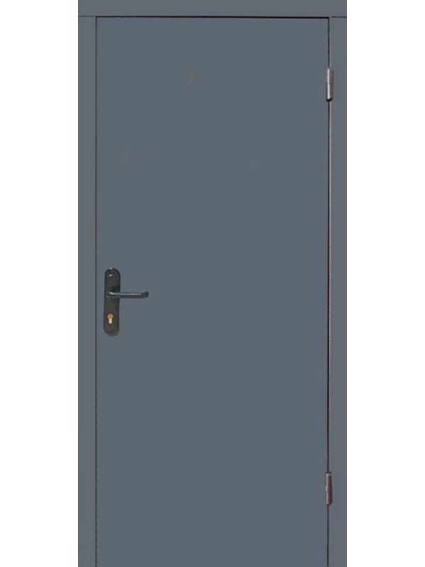 Двері вхідні Artiz ТХ-02.1 RAL 7024