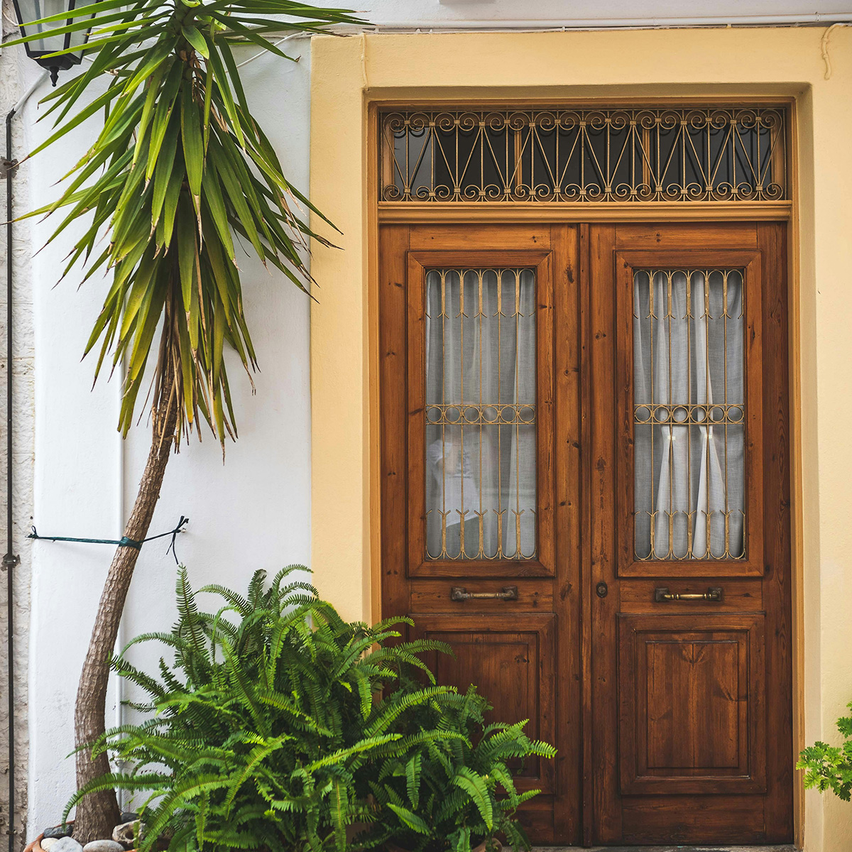 Вхідні двері з модрини