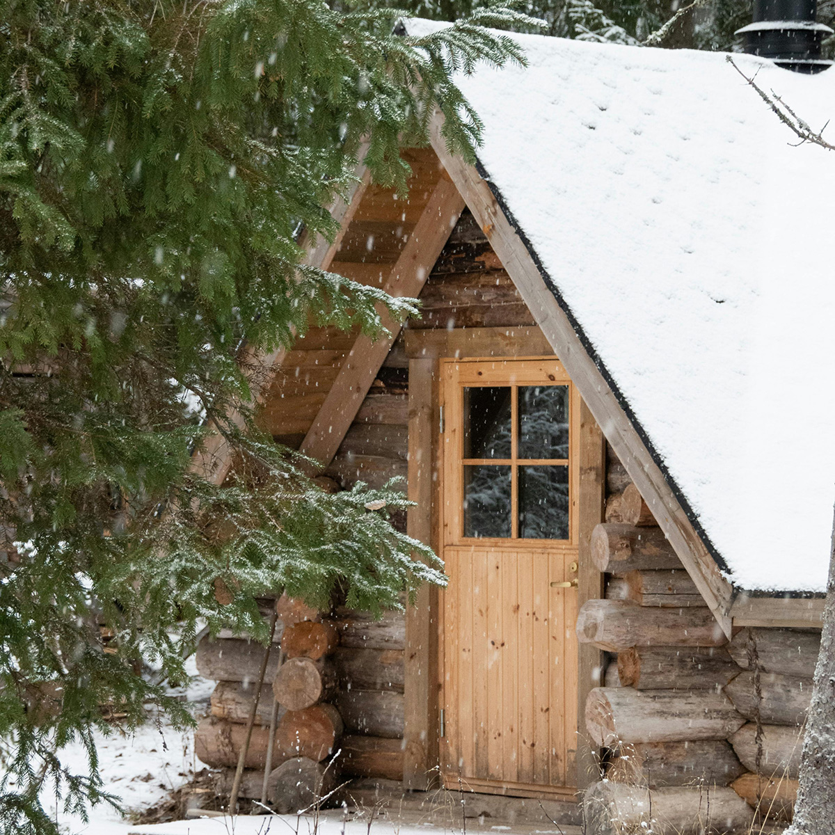 Вхідні двері із сосни